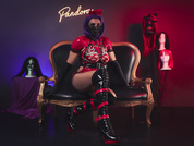 pandoramills pic