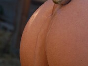 nenablack pic