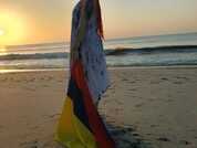 elizabethcooper94 pic