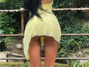 Missalexrose
